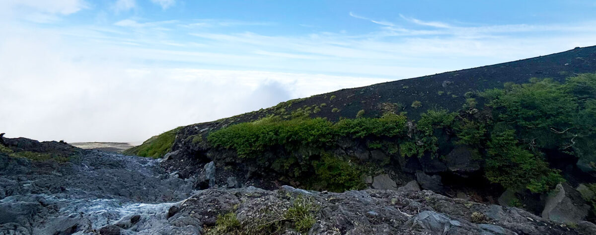 富士山でロッククローリングしてきた話